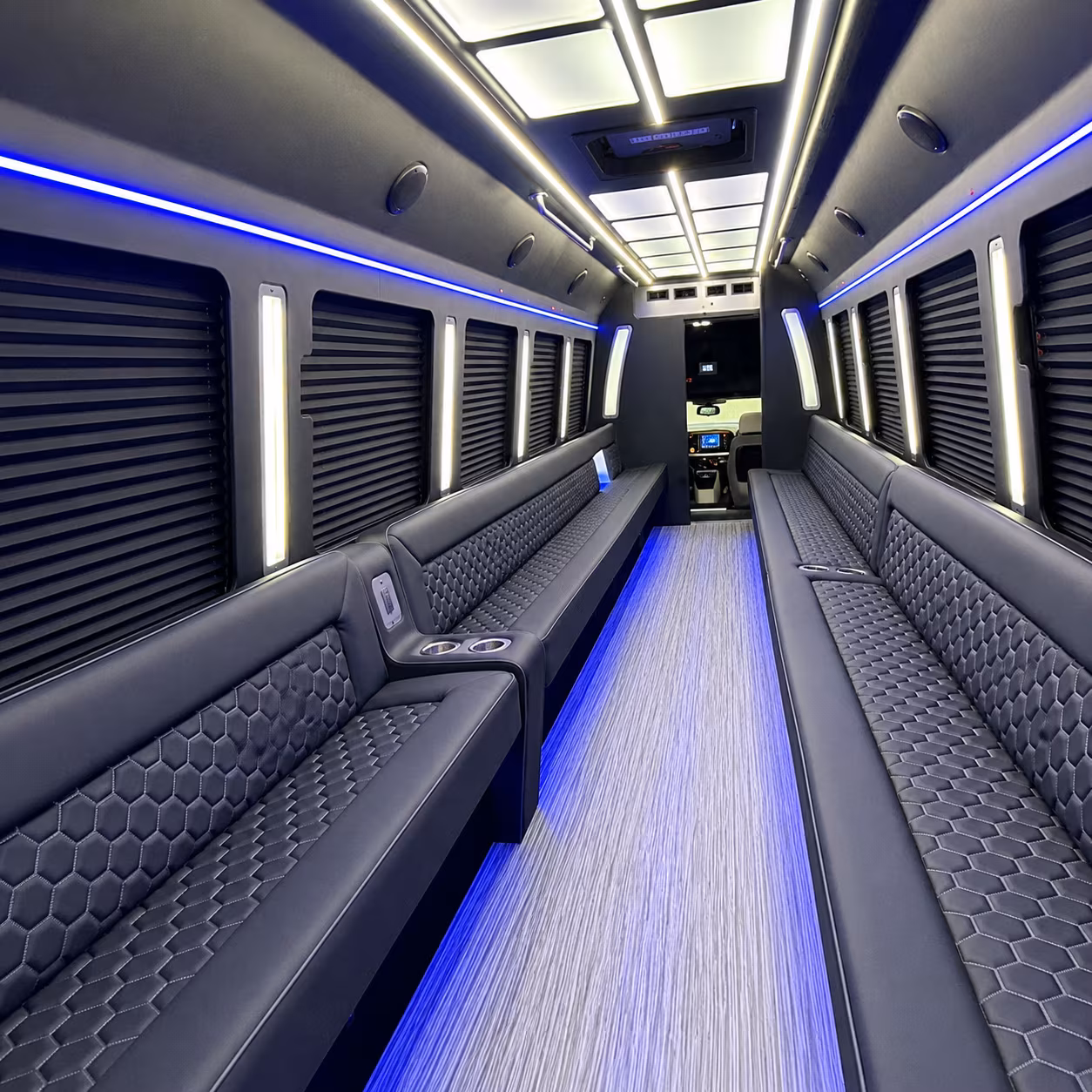 bachelorette party bus rentals for a night out in lowertown st paul