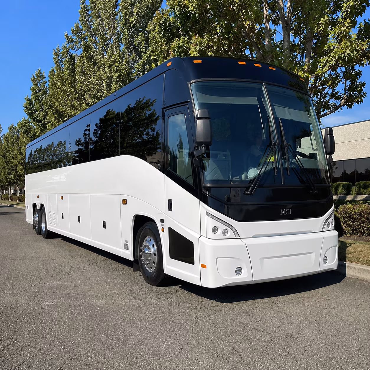 st paul 50 passenger charter bus