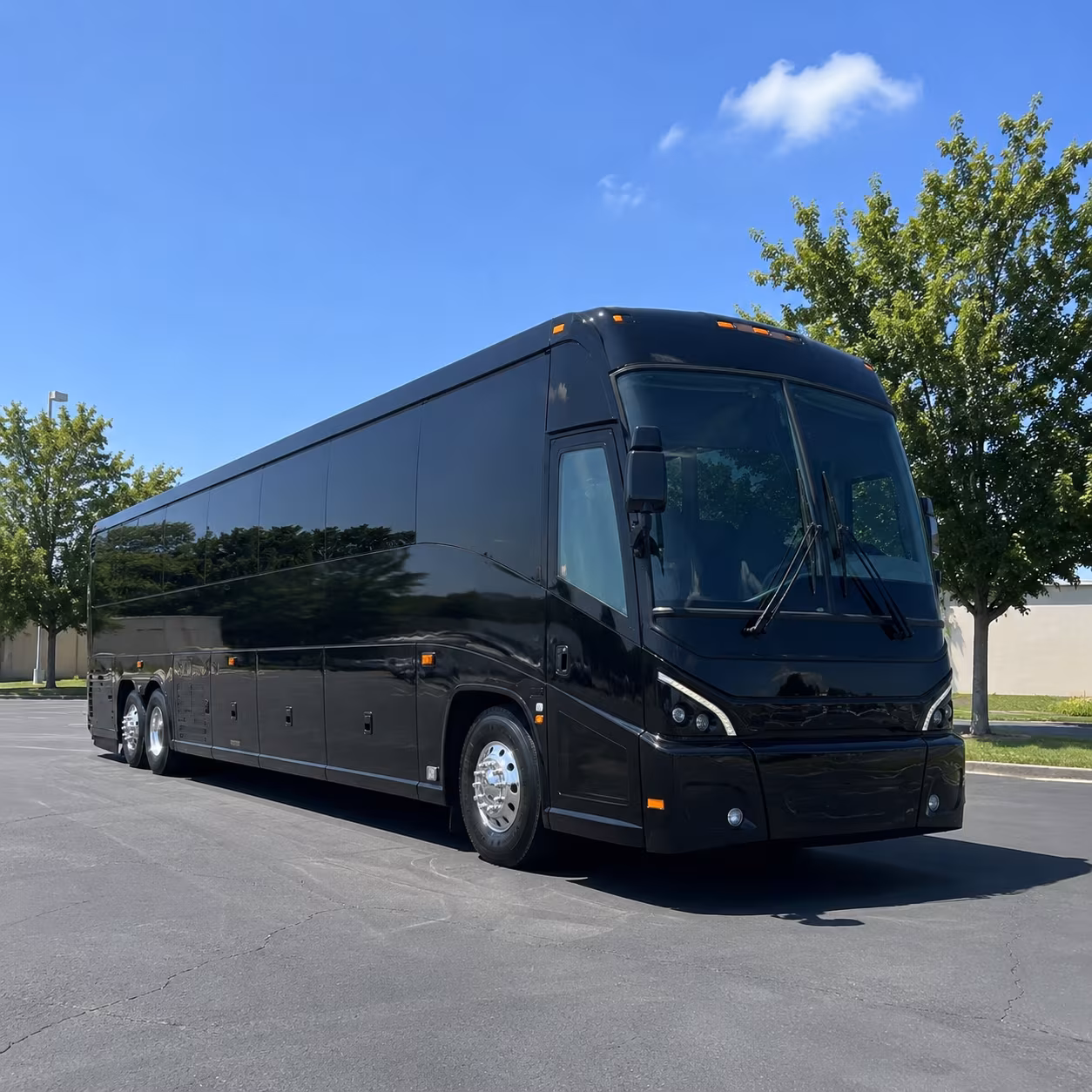 st paul 56 passenger charter bus